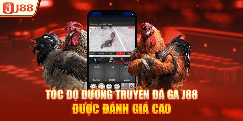 Ưu điểm nổi bật của Đá gà J88